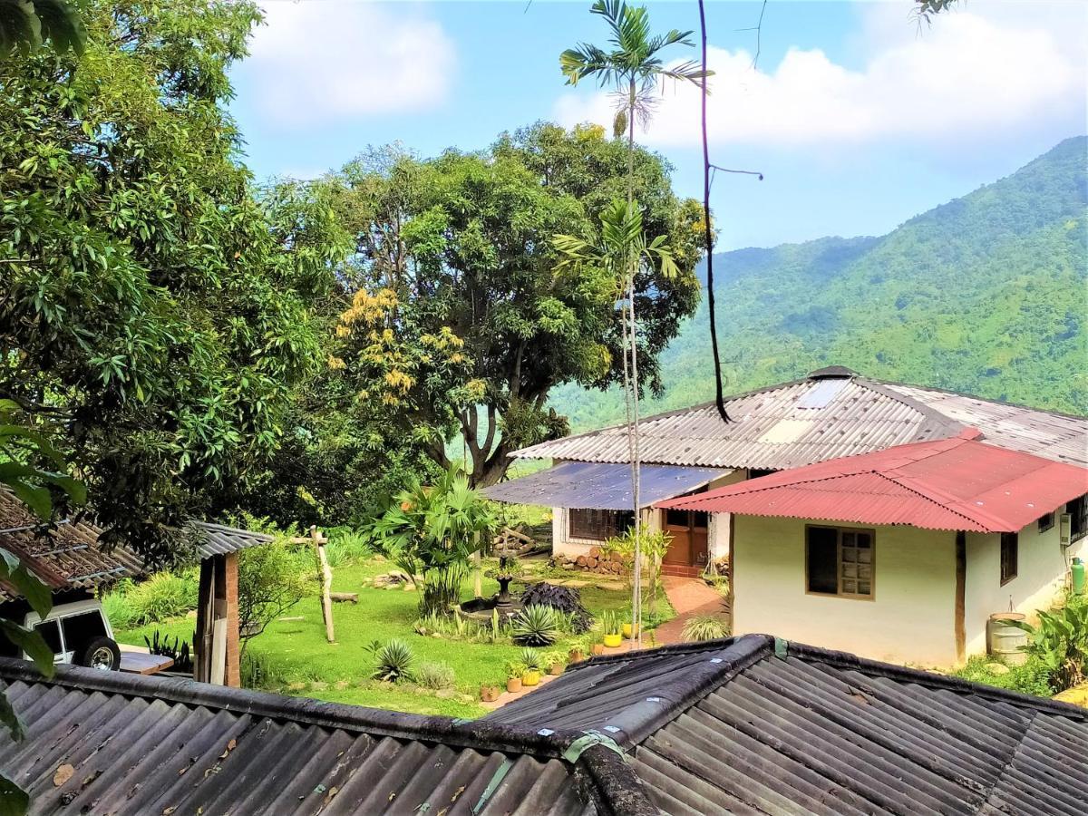 Finca Hostal Bolivar - Casa Quinta Minca Kültér fotó